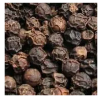 Nguyen Plus Trading CO. Ltd.