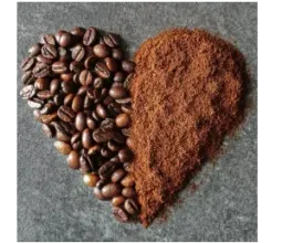 Nguyen Plus Trading CO. Ltd.