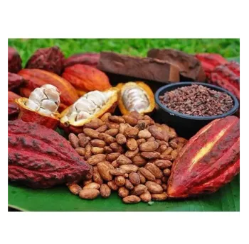 Nguyen Plus Trading CO. Ltd.